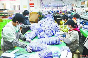 阳西冠华开启品牌发展新征程