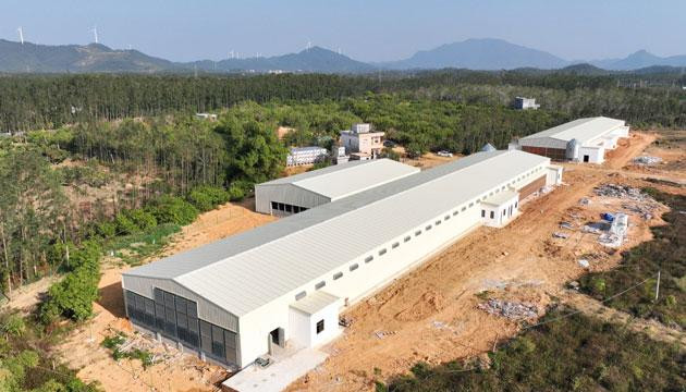 光伏板产400万度绿电 板下养5万羽蛋鸭