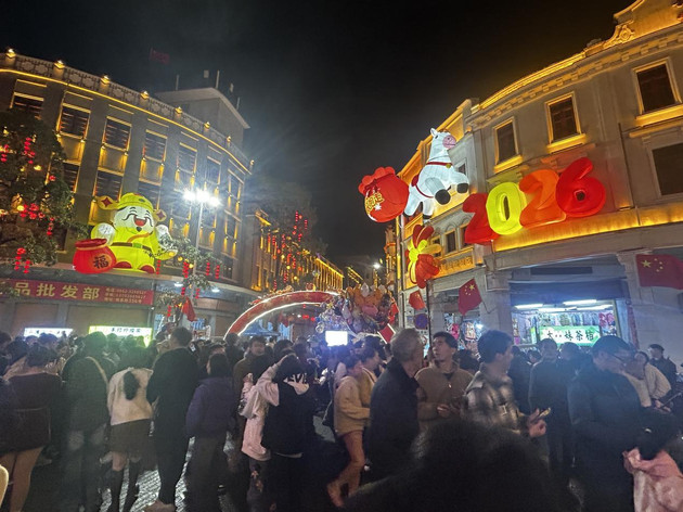 新春不打烊 服务不断档l阳江人社春节期间持续开展惠民服务