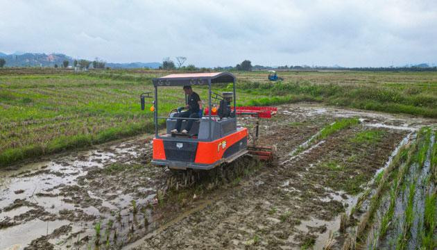 农资农具供应充足已播种12万亩