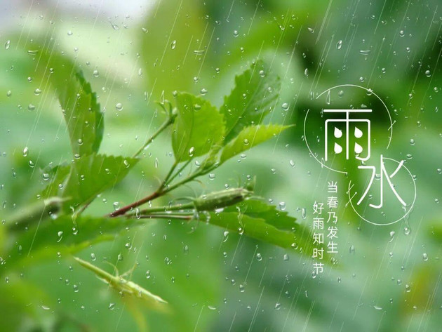 雨水过后，湿气来袭！守住“脾阳”这道门，逼出体内寒湿
