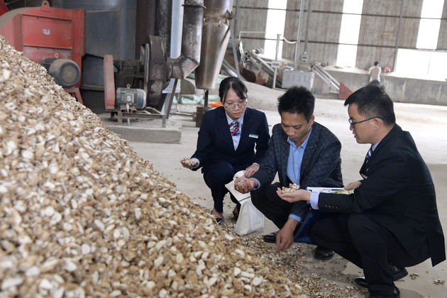 春耕正当时 致富好“姜”来