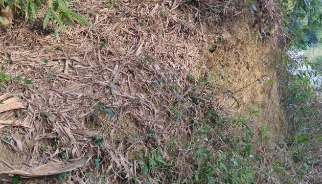 驿道存雅韵 文脉溢清芳