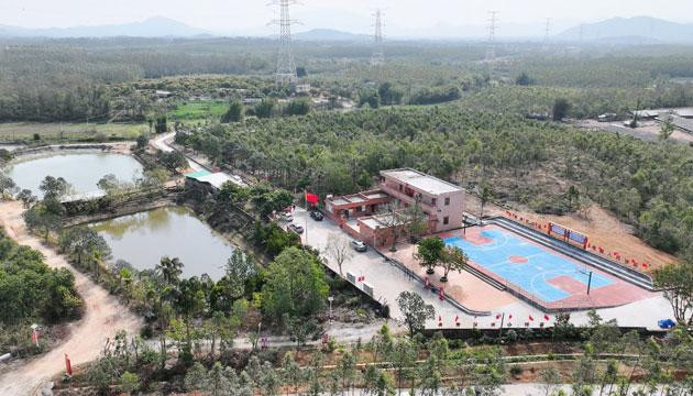 新洲镇“开心农场”的共建共治共享探索