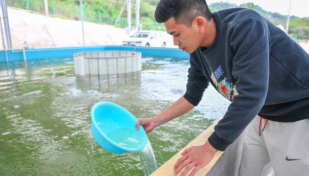 潭水镇成功选育出翘嘴鳜“广春3号”鱼苗