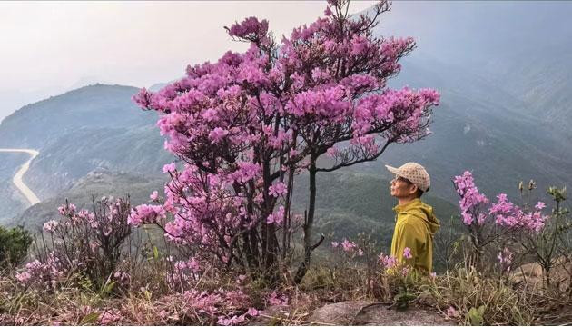 新洲春日踏青“三部曲”