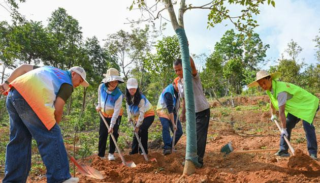 凝聚合力纵深推进绿美阳江生态建设