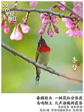 学习日历 | 2026年3月20日