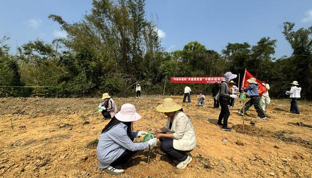 村民认养 “巾帼林”变“增收林”