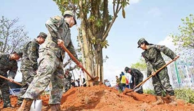 我市开展“军民共植双拥林”植树活动