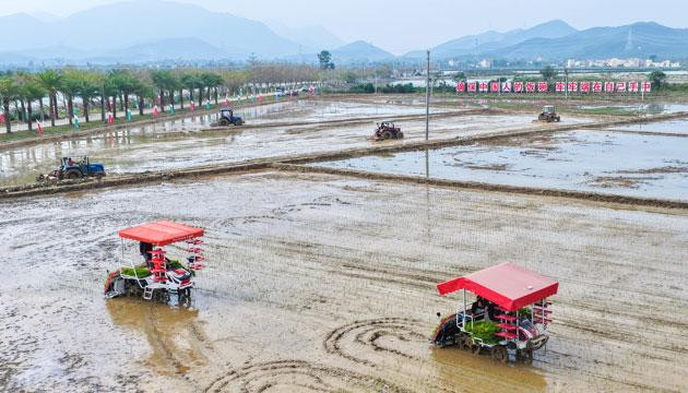 阳江纵深推进集成式改革赋能“百千万工程”