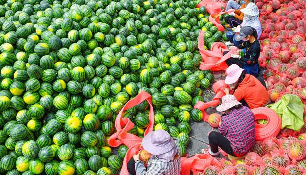 阳江官宣入夏！今年较常年偏早12天