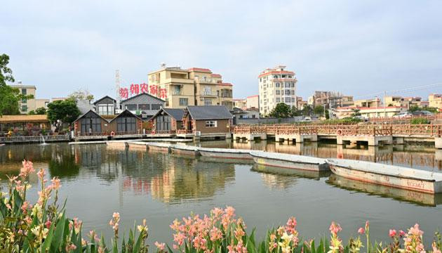 阳东乡村美了 “美丽经济”提档升级