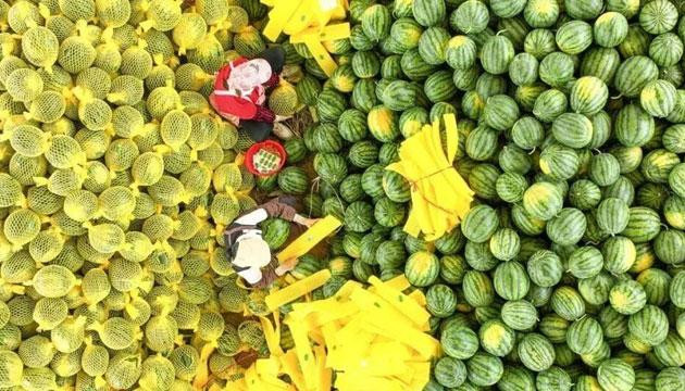 阳江开始变得甜甜甜甜甜