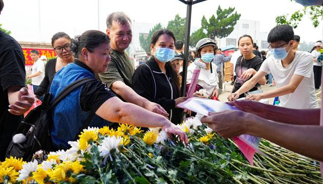鲜花水果成“标配” 绿色祭扫蔚然成风