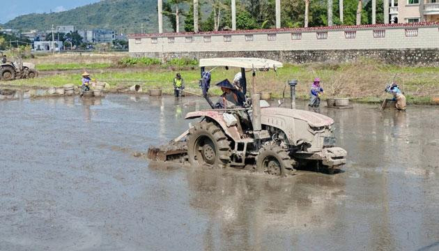 广式糖水中的“灵魂配料”珍珠马蹄产值突破亿元！