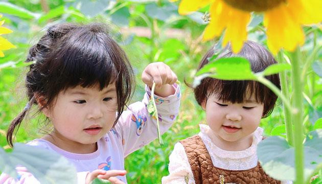 赴一场春日之约