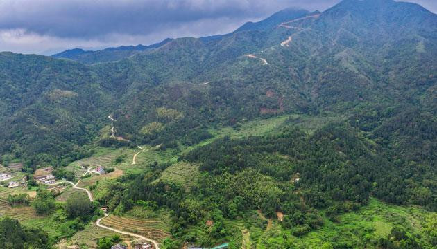 鸡笼顶徒步50分钟可赏杜鹃花