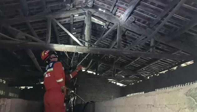 八甲一养猪场遭蟒蛇两次“造访”