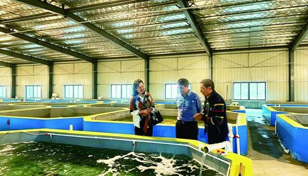 “水产气候贷”助力阳江海洋牧场发展