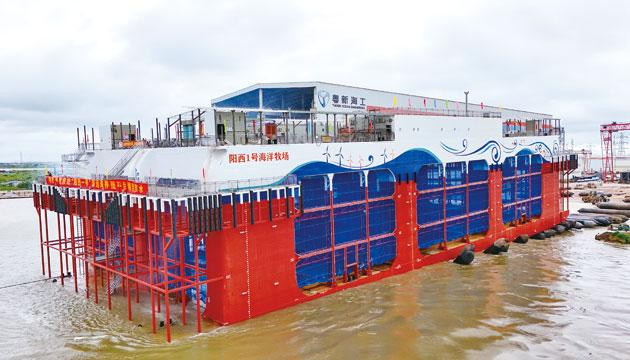 “阳西一号”深远海综合养殖平台顺利吉水