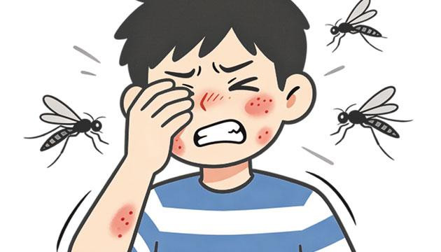 闷热雨水天气推高蚊虫密度，市疾控中心提醒——