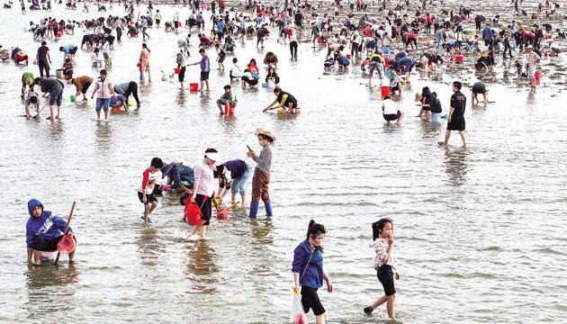 警惕海边“隐形杀手”离岸流