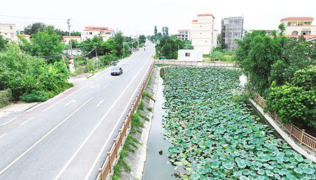 岗列街道：江韵渔风融沃土 六村同绘振兴图